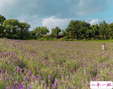 睡觉前的朋友圈晚安说说带图片 晚安心语说说心灵鸡汤配图7