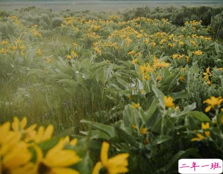 睡觉前的朋友圈晚安说说带图片 晚安心语说说心灵鸡汤配图9