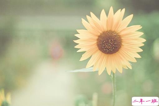 青春年少慢慢成长变得成熟的个性说说带图片 2018很经典的成熟个性说说14