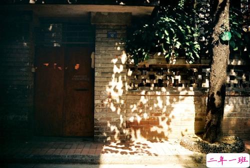 关于爱情的简单有哲理的句子带图片 不要贪心找到那个对的人就第一时间决定吧6