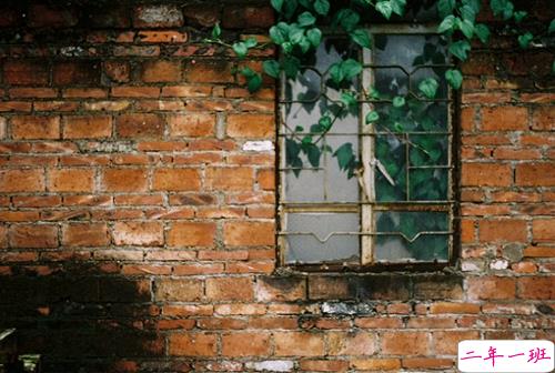 关于爱情的简单有哲理的句子带图片 不要贪心找到那个对的人就第一时间决定吧7