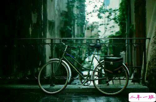 关于爱情的简单有哲理的句子带图片 不要贪心找到那个对的人就第一时间决定吧13