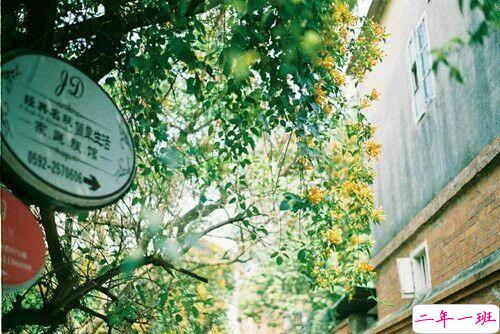 甜甜的适合恋爱中的男生女生发的说说带图片5