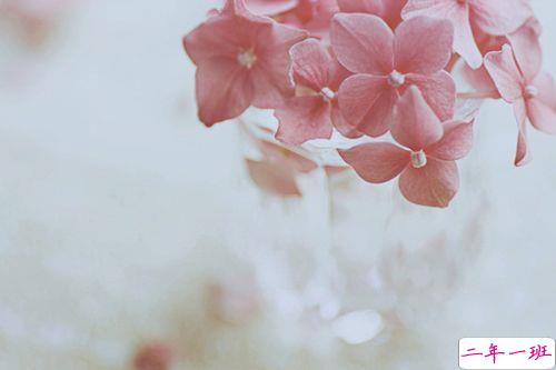 甜甜的适合恋爱中的男生女生发的说说带图片13