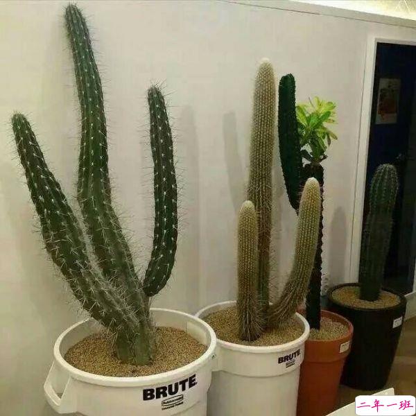 现实人生成长的哲理精辟个性说说带图片 希望一切刚刚好过了黎明就是破晓11