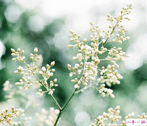 关于一个人旅行的精辟哲理说说带图片 每一次旅行其实都是一场修行2