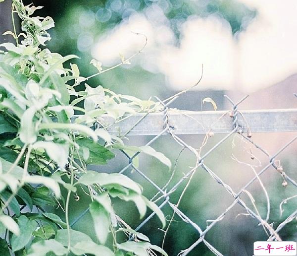 关于一个人旅行的精辟哲理说说带图片 每一次旅行其实都是一场修行4