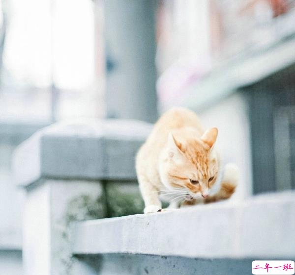 关于一个人旅行的精辟哲理说说带图片 每一次旅行其实都是一场修行7