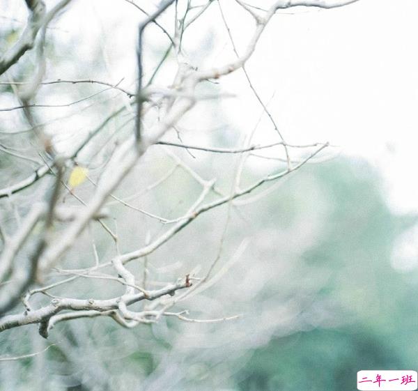 关于一个人旅行的精辟哲理说说带图片 每一次旅行其实都是一场修行8