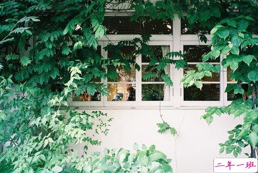 一个人独处时候的孤独是什么感觉呢?6