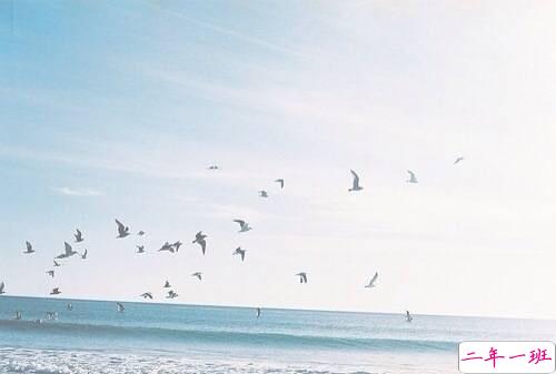 关于爱情简单又有道理的句子配图 爱情是一个人的天荒地老1