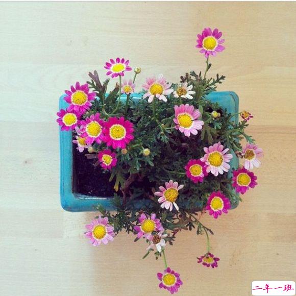 恋爱时的甜蜜小情话温柔的句子带图片 我奔向你就像奔向未来6