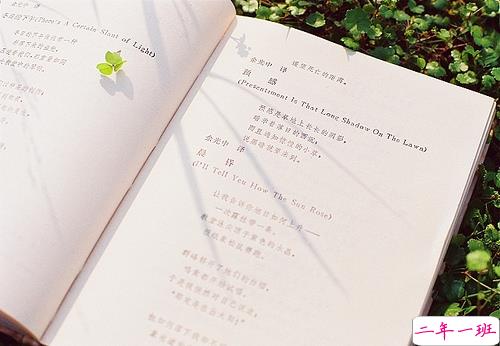 关于爱情简单又有道理的句子配图 爱情是一个人的天荒地老5