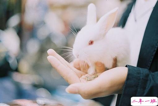 关于爱情简单又有道理的句子配图 爱情是一个人的天荒地老11