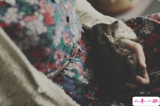 唯美祝愿给闺蜜给自己的图片句子 愿你三冬暖愿你春不寒12