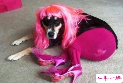 适合社会人的个性说说带图片:一巴掌拍醒所有痴心和妄想1