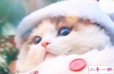 适合社会人的个性说说带图片:一巴掌拍醒所有痴心和妄想3