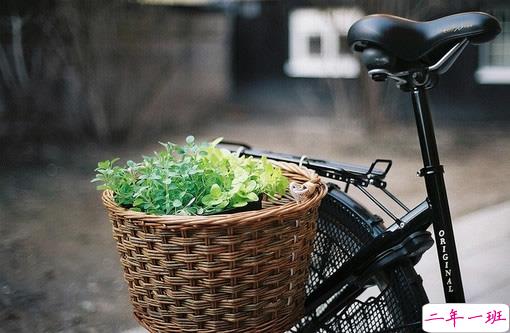 2018点赞最多的说说加图片:速热的人也速冻,热闹的人易散场14