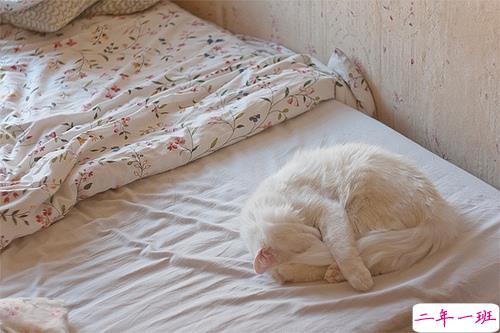 关于青春年华浪漫唯美的爱情句子 年少的笑漾着微光9