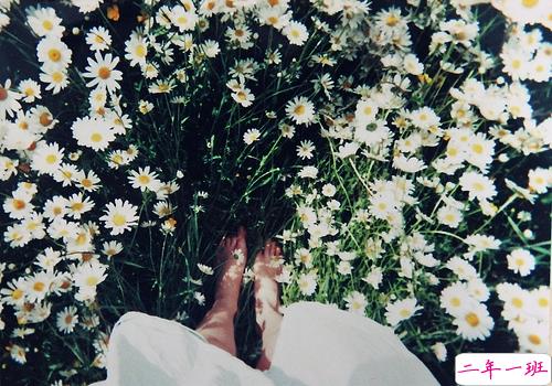 关于青春年华浪漫唯美的爱情句子 年少的笑漾着微光10