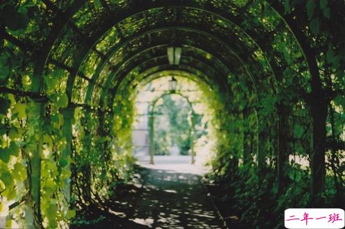 写给异地恋的说说带图片 愿你漂洋过海有人在彼岸等你7