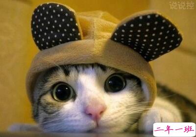 个性说说带图片5 个性说说带图片5