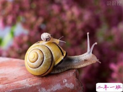 超拽个性说说带图片6 超拽个性说说带图片6