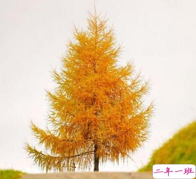 承蒙你出现,够我喜欢好多年2