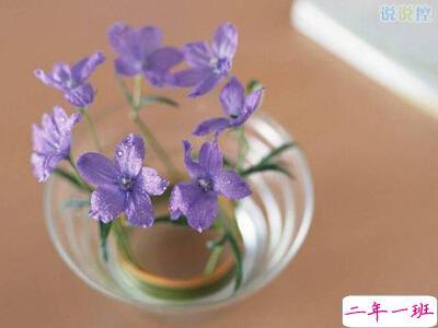 QQ个性说说带图片2 QQ个性说说带图片2