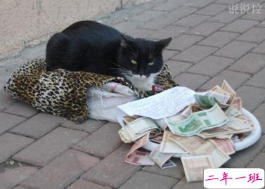 QQ个性说说带图片4 QQ个性说说带图片4