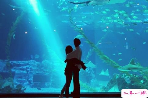 很甜的爱情说说配图:小学时,想和喜欢的人同桌;初中时,想和喜欢的人同班6