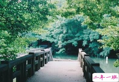 承蒙你出现,够我喜欢好多年9