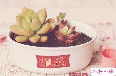 承蒙你出现,够我喜欢好多年11