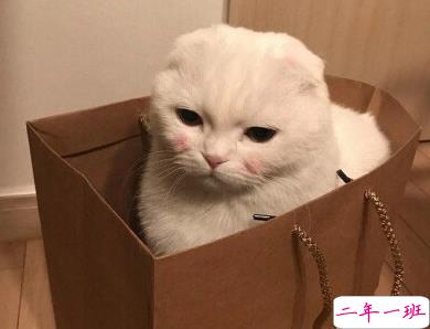 发一条有有趣的朋友圈说说 夏天那么热暗恋会变成热恋吗8