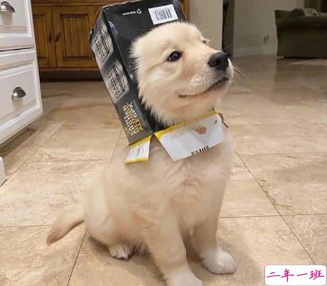 发一条有有趣的朋友圈说说 夏天那么热暗恋会变成热恋吗13