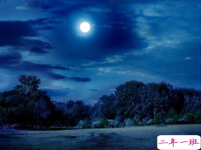 女生很萌很搞笑的晚安说说带图片 可爱治愈系晚安文案3