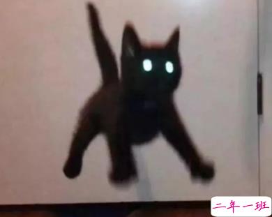 朋友圈幽默霸气说说带图片 是金子会发光何况我是钻石7