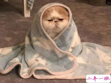 朋友圈幽默霸气说说带图片 是金子会发光何况我是钻石11