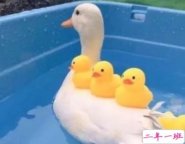 朋友圈幽默霸气说说带图片 是金子会发光何况我是钻石12