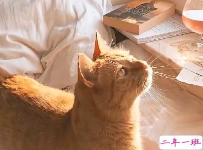 幽默风趣的早安心语带图片 开心一笑早安句子4