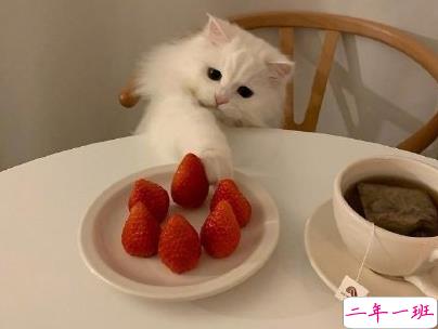 幽默风趣的早安心语带图片 开心一笑早安句子11