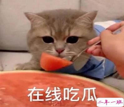 吃瓜人朋友圈说说怎么发 微博吃瓜人有趣说说带图片1