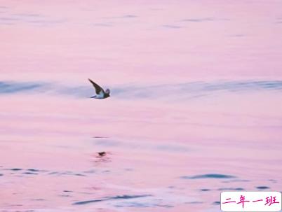 今年流行的搞笑说说带图片 轻松有趣的说说配图5