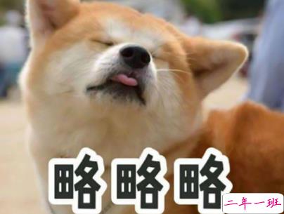 今年流行的搞笑说说带图片 轻松有趣的说说配图7