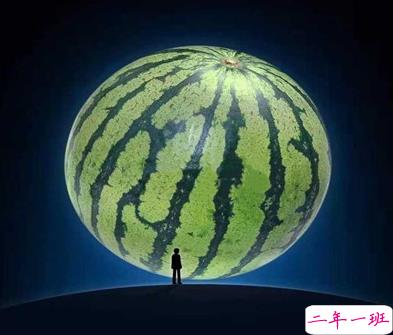 吃瓜人朋友圈说说怎么发 微博吃瓜人有趣说说带图片10