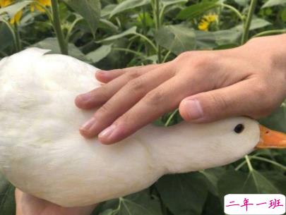 今年流行的搞笑说说带图片 轻松有趣的说说配图12