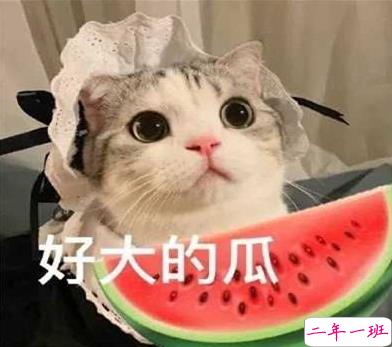 吃瓜人朋友圈说说怎么发 微博吃瓜人有趣说说带图片12