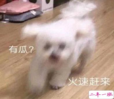 吃瓜人朋友圈说说怎么发 微博吃瓜人有趣说说带图片13