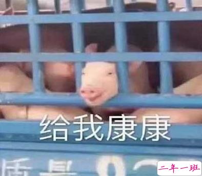 吃瓜人朋友圈说说怎么发 微博吃瓜人有趣说说带图片14