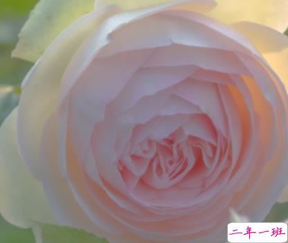 天冷发朋友圈搞笑说说带图片 降温朋友圈最火文案2